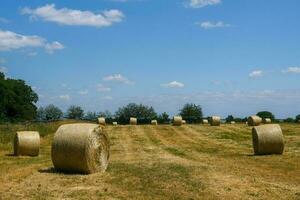 Heu Ballen im das Feld foto