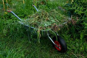 Garten Metall Schubkarre gefüllt mit Unkraut Ernte foto