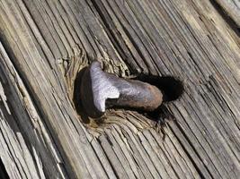 ein Nagel in einer Brücke. foto