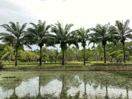 Taman Aufgabe Titiwangsa im Malaysia foto