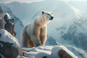Weiß Polar- Bär im das Berge, Winter. ai generiert foto