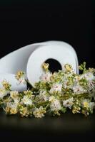 Pferd Kastanie Blumen. rollen von Toilette Papier im das Hintergrund foto