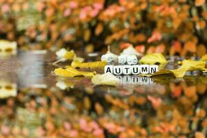 Wort Herbst ist zusammengesetzt von hölzern Briefe. foto
