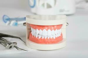 Zähne und Kiefer Modell. Nahansicht foto