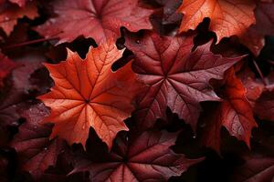 Ahorn Blätter im beschwingt Farbtöne fallen und tanzen im das Herbst Hintergrund ai generiert foto