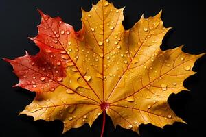 Herbst Schönheit entfaltet sich wie Ahorn Blätter im Gelb und rot absteigen ai generiert foto