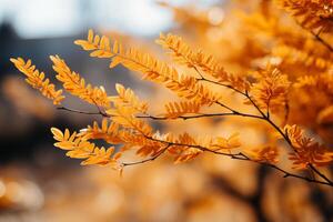 sonnendurchflutet Herbst Szene mit beschwingt Gelb Blätter auf Geäst ai generiert foto