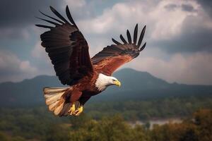 erhöht Majestät, Fisch Adler regiert höchste inmitten das himmlisch Wolken ai generiert foto