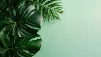 tropisch Blätter Monstera und Palme auf Grün Hintergrund generiert ai foto