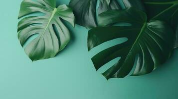 tropisch Blätter Monstera auf Grün Hintergrund generiert ai foto