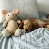 ein Hund mit ein ausgestopft Hase auf das Bett ai generiert foto