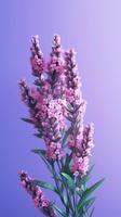 Lavendel lila Blume verschwommen Hintergrund. ai generiert foto