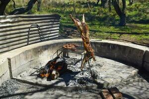 Lamm auf das Spucke, gekocht mit das traditionell Argentinien Methode, la Pampa Provinz, Patagonien, Argentinien. foto