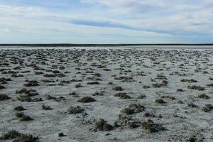 salzig Boden im ein halb Wüste Umfeld, la Pampa Provinz, Patagonien, Argentinien. foto