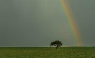 Pampas einfach Regenbogen Landschaft, Argentinien foto