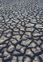 geknackt Erde, Desertifikation Prozess foto