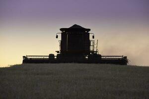 Mähdrescher Maschine, Ernte im das Argentinien Landschaft, Buenos Aires Provinz, Argentinien. foto