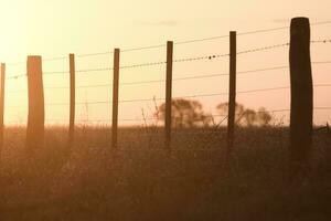 Draht Zaun beim Sonnenuntergang im das Argentinien Landschaft. foto