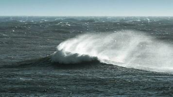 Wellen mit stark Wind nach ein Sturm, Patagonien, Argentinien. foto