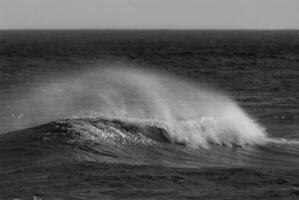 Wellen mit stark Wind nach ein Sturm, Patagonien, Argentinien. foto