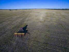 Traktor y Maquinaria Landwirtschaft , Sembrando, la Pampa, Argentinien foto