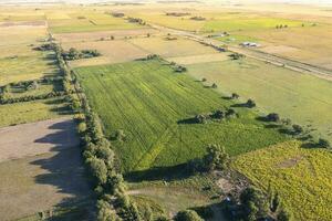 Silo Tasche gefüllt mit Soja Bohnen, la Pampa Provinz, Patagonien, Argentinien. foto