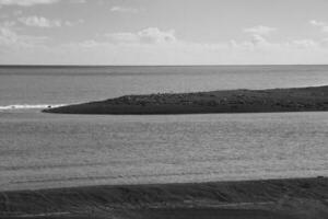 Caleta Wald Natur Reservieren Landschaft, im Halbinsel Valdes, UNESCO Welt Erbe Grundstück, Patagonien Argentinien foto