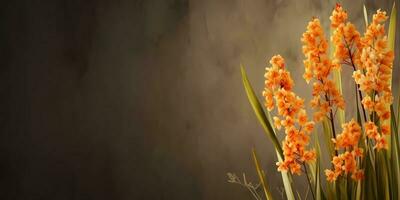 Schönheit Asphodelus Blume, Garten Dekoration, Kopieren Raum verschwommen Hintergrund, ai generiert foto