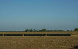 Gas Pipeline Konstruktion, la Pampa Provinz , Patagonien, Argentinien. foto