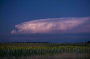 Pampas dramatisch Sturm Landschaft, la Pampa Provinz, Patagonien, Argentinien foto