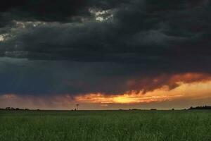 Sturm Regen im ländlich Landschaft, la Pampa Provinz, Patagonien, Argentinien. foto