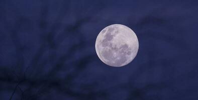 Mondaufgang , voll Mond im das Himmel, Patagonien, Argentinien foto