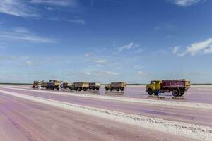 Ernte von Mineral Salz- im la Pampa, Argentinien foto