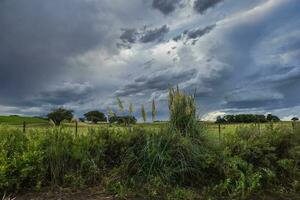 stürmisch Himmel fällig zu Regen im das Argentinien Landschaft, la Pampa Provinz, Patagonien, Argentinien. foto