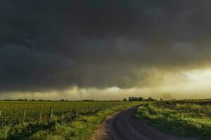stürmisch Himmel fällig zu Regen im das Argentinien Landschaft, la Pampa Provinz, Patagonien, Argentinien. foto