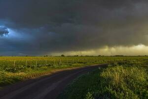 stürmisch Himmel fällig zu Regen im das Argentinien Landschaft, la Pampa Provinz, Patagonien, Argentinien. foto