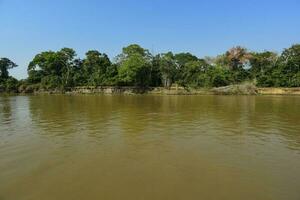 Fluss Landschaft und Dschungel, Pantanal, Brasilien foto