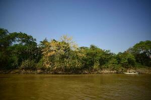 Fluss Landschaft und Dschungel, Pantanal, Brasilien foto