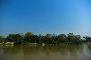 Fluss Landschaft und Dschungel, Pantanal, Brasilien foto