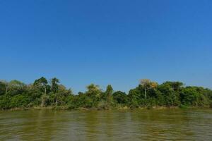 Fluss Landschaft und Dschungel, Pantanal, Brasilien foto