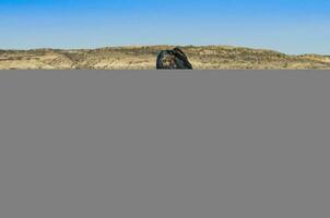 Wal Springen im Halbinsel Valdes,, Patagonien, Argentinien foto