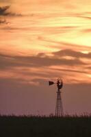 ländlich Landschaft mit Windmühle beim Sonnenuntergang, Pampas , Argentinien foto