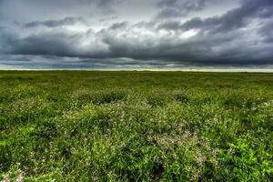 ländlich Landschaft stürmisch, Buenos Aires Provinz , Argentinien foto