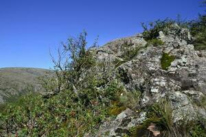 Quebrada del Condorito National Park Landschaft, Cordoba Provinz, Argentinien foto