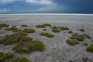 gebrochen trocken Boden im ein Pampas Lagune, la Pampa Provinz, Patagonien, Argentinien. foto