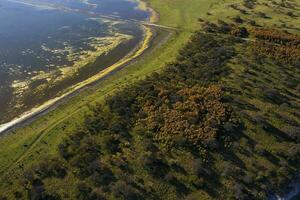 calden Wald Landschaft, prosopis Caldenia Pflanzen, la Pampa Provinz, Patagonien, Argentinien. foto