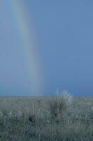 ländlich Landschaft und Regenbogen, Buenos Aires Provinz , Argentinien foto