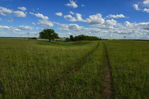 Frühling Jahreszeit Landschaft, la Pampa foto