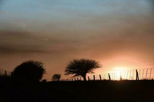 ländlich Sonnenuntergang Landschaft, Buenos Aires Provinz , Argentinien foto