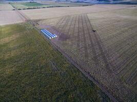 Traktor und Sämaschine, Direkte Aussaat im das Pampa, Argentinien foto